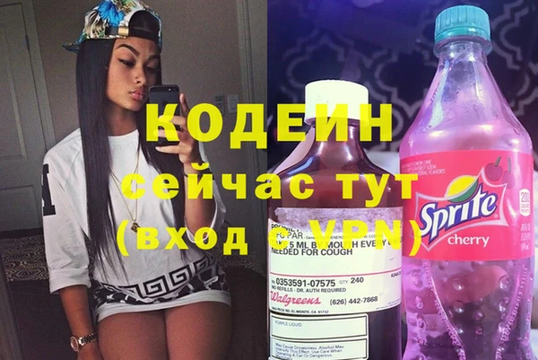 ECSTASY Бородино